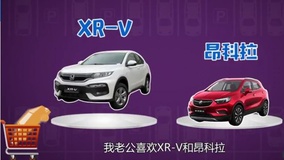 汽车洋葱圈