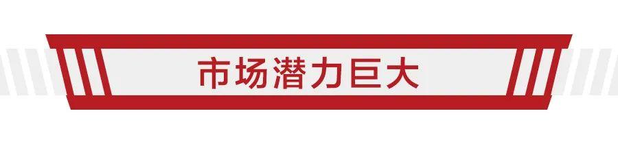 预计为两厢,售价或不到20万,特斯拉Model 2香不香?