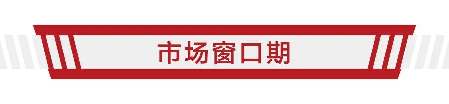 预计为两厢,售价或不到20万,特斯拉Model 2香不香?