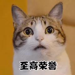 2020年最省油和最耗油车型名单出来了,网友:买错了
