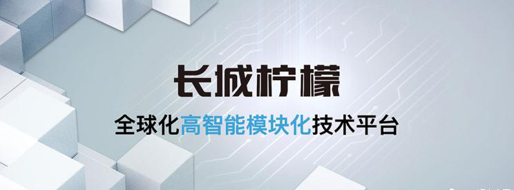 國(guó)產(chǎn)當(dāng)自強(qiáng)！中國(guó)車(chē)企新技術(shù)盤(pán)點(diǎn)