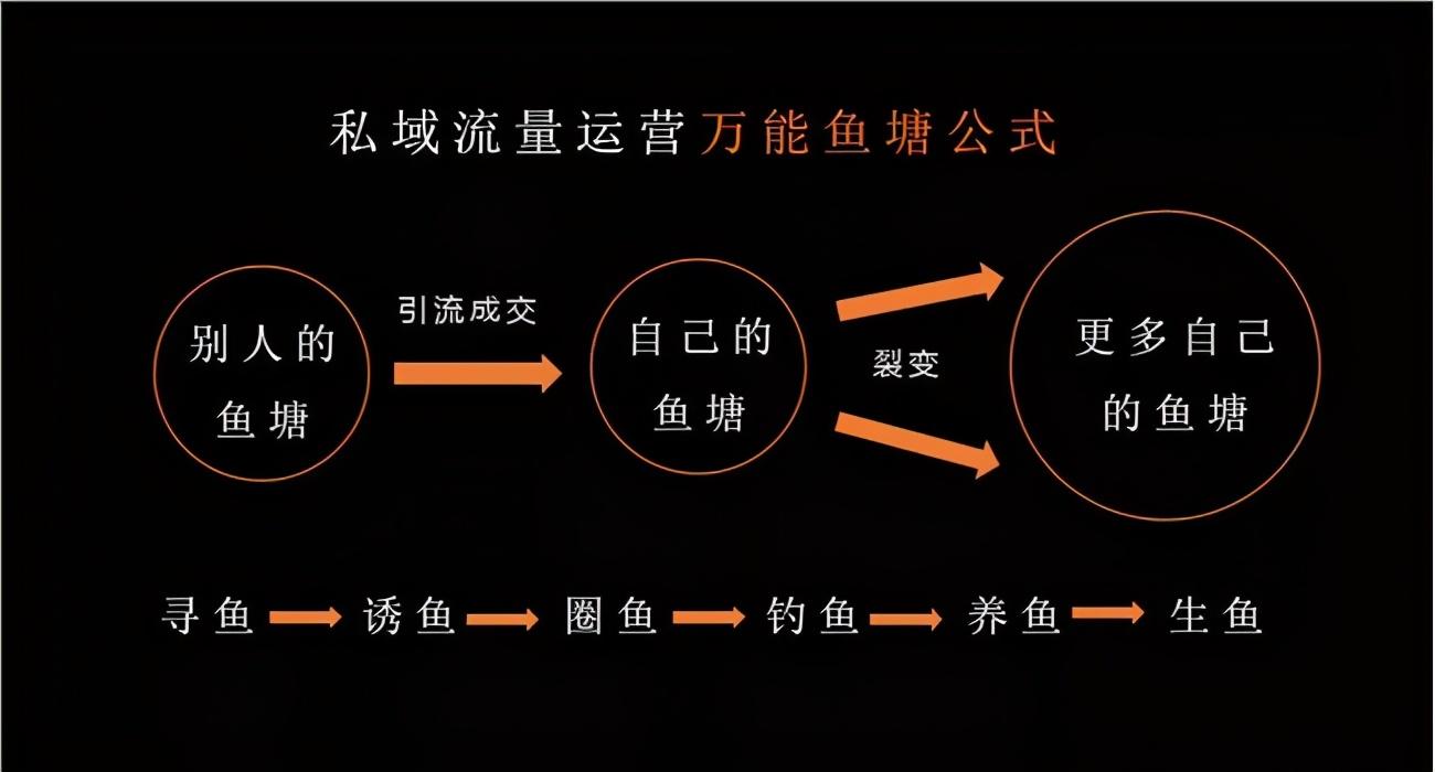 汽車人未曾察覺私域流量，已讓某些人賺盆滿缽滿