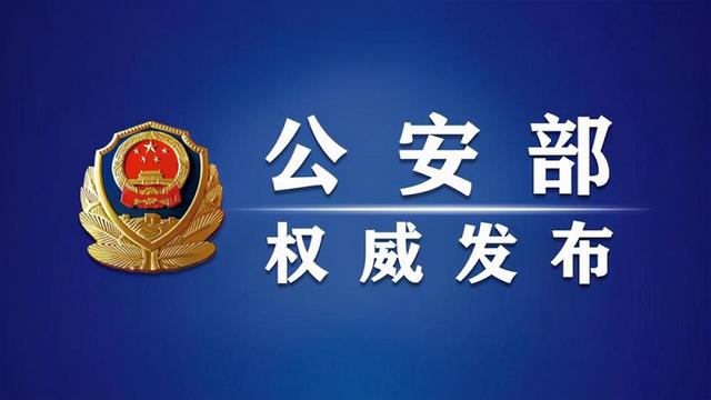 一月后,7至9座车型6年免检,能否改写MPV的鸡肋角色?