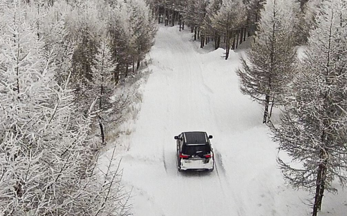 預算4000買雪地胎，米其林新冰馳輪胎與鄧祿普雪地胎該選誰？