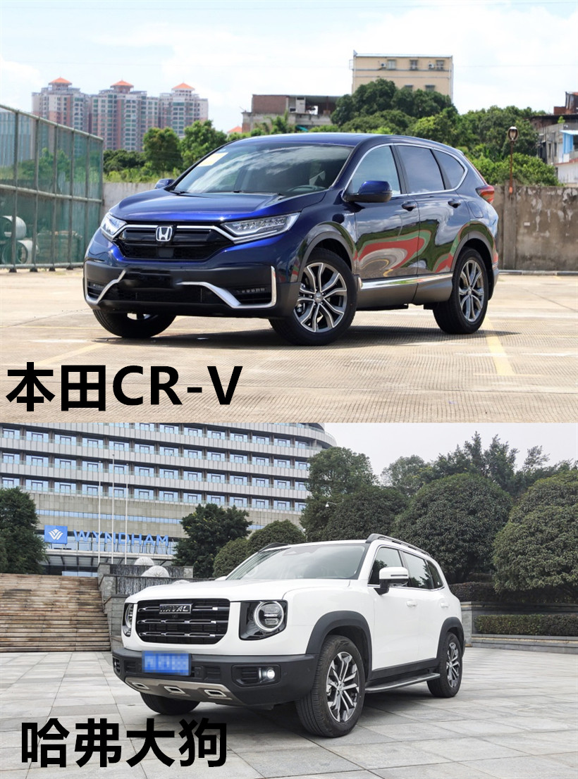 哈弗大狗硬剛本田CR-V，智能配置成圈粉利器