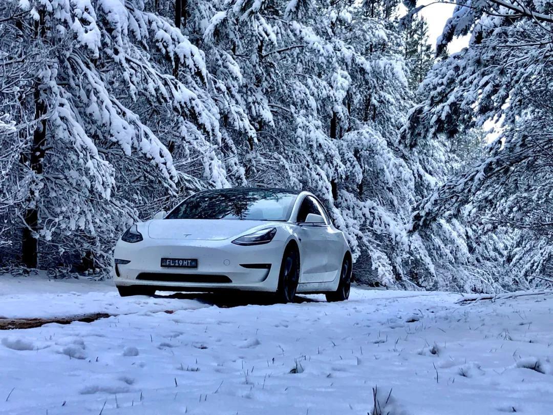 特斯拉Model 3榮登國內電動汽車銷冠，總榜排第10