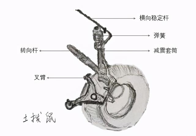 车悬架那么多 傻傻分不清？那人的悬架就更别提了