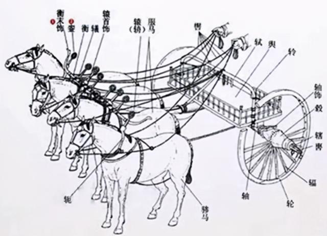 车悬架那么多 傻傻分不清？那人的悬架就更别提了