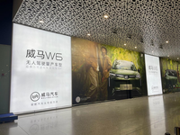 深圳机场出口的威马W6是什么来头？