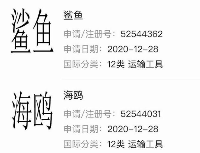 比亚迪:我们的征途是海豚、海鸥、海狮和整个大海……