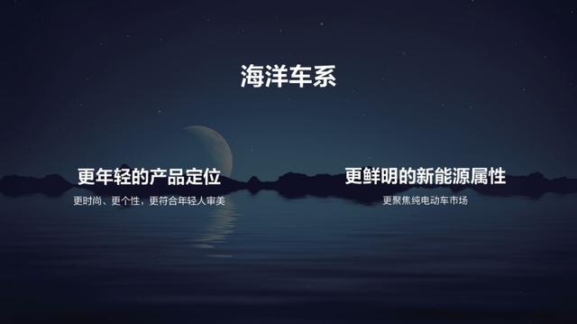 比亚迪:我们的征途是海豚、海鸥、海狮和整个大海……