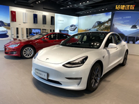 新能源汽车市场变天了？特斯拉Model 3月销不足万辆，比亚迪赢了