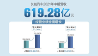 長城汽車2021年上半年?duì)I收619億，凈利潤35億，研發(fā)支出近29億