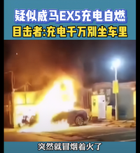 威马汽车EX5起火自燃 目击者：充电千万不敢坐车里面