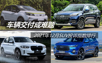 12月SUV投訴指數(shù)排行：車輛交付成難題