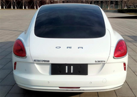 國產(chǎn)“帕美”歐拉閃電貓曝光,比Model 3還大,極速僅170km/h