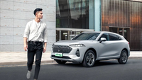 30萬買魏派SUV，貴嗎？