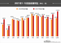 2021年度車質(zhì)網(wǎng)投訴分析總結(jié)報告