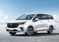 五菱佳辰發(fā)布，檔次比肩別克GL8，了解完，車友：錢已備好