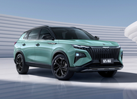 皓極將于5月19日亮相,新車有什么看點?
