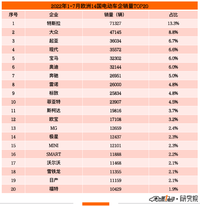 那些出口歐洲的中國電動車銷量怎么樣？