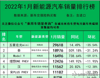 2022年1月新能源汽車分車型銷量排行榜