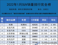 2022年1月汽车终端销量排行/总计893个车型（含进口）