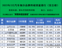 2022年2月汽车细分品牌终端销量排行（完全版）