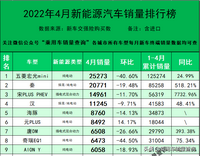 2022年4月新能源汽车分车型销量排行榜