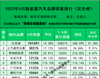 22年5月新能源汽車細(xì)分品牌終端銷量排行榜