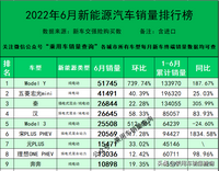 2022年6月新能源汽车分车型销量排行榜