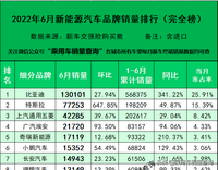 22年6月新能源汽車細(xì)分品牌終端銷量排行榜