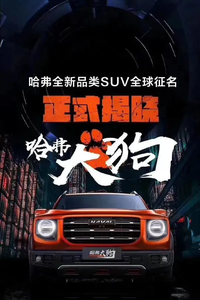 新車取名哪家強(qiáng)？