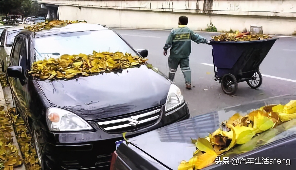 汽车长期停放不开，有哪些损害，看完你就知道了