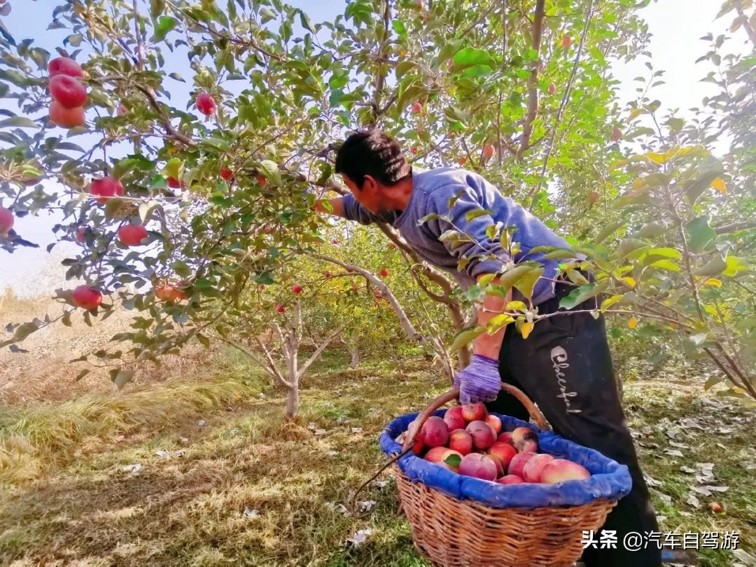雪开天山，烟锁昆仑｜南疆5大自驾游线路提示（附地图）