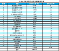 中国新能源汽车在全球保持领先优势 4月全球TOP20，中国制造占13席