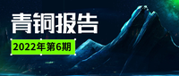 青銅報(bào)告 | 2022新能源年中小結(jié)：勝利屬于“革命者”