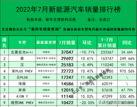 2022年7月新能源汽车分车型销量排行榜