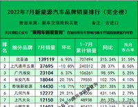 22年7月新能源汽車細(xì)分品牌終端銷量排行榜