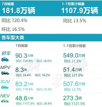 中国新能源是弯道超车？这叫“换道超越”，领跑全球