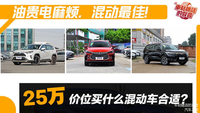 油貴電麻煩，混動最佳 25萬價位買什么混動車合適？