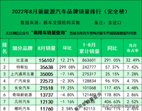 22年8月新能源汽车细分品牌终端销量排行榜