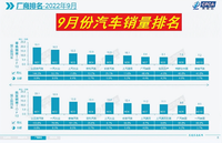 9月汽车销量榜，比亚迪第一，大众卖不动了！特斯拉还在前十？