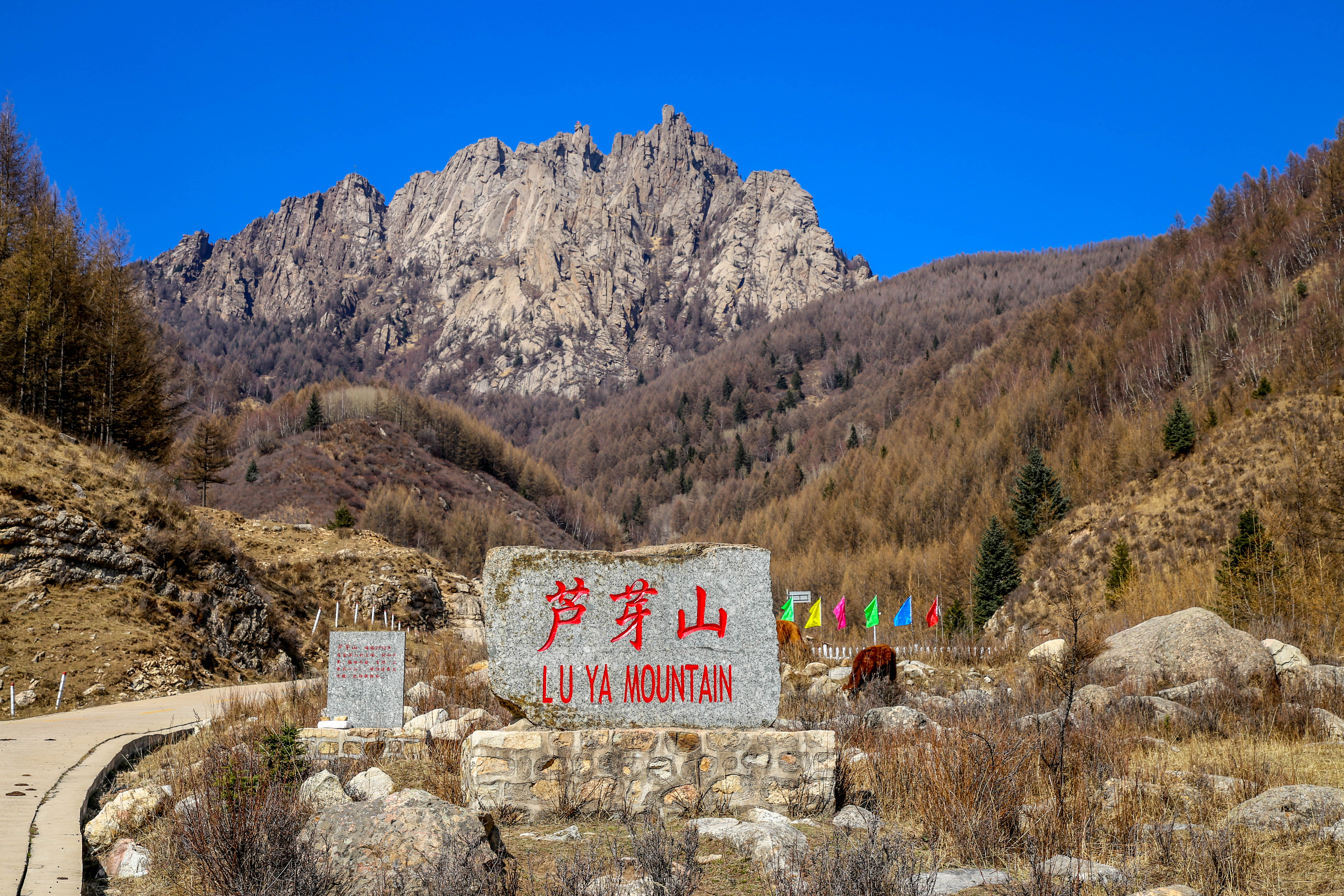 【安臣游】锐行无际 自驾福特锐际游 管涔山国家森林公园