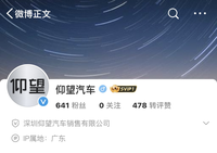 比亚迪公布高端品牌，定名“仰望汽车”