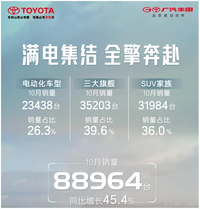 1-10月累计销量超去年全年，广汽丰田蓄电跑出加速度