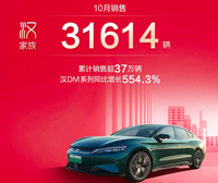 比亞迪發(fā)布全新高端汽車品牌“仰望”，底氣在哪里?