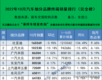 2022年10月汽车细分品牌终端销量排行榜（完全版）