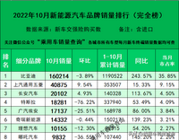 22年10月新能源汽车细分品牌终端销量排行榜