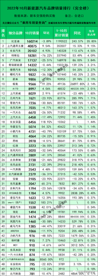 2022年10月新能源汽车品牌上险量排行榜